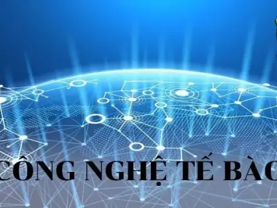Công nghệ tế bào - Các lĩnh vực ứng dụng chính của công nghệ tế bào