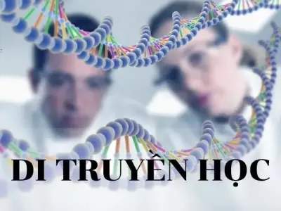 Di truyền học - Khái niệm, đặc điểm, lĩnh vực và ứng dụng của di truyền học 