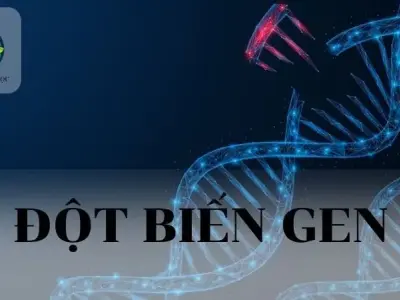 Đột biến Gen là gì? Nguyên nhân và hậu quả của đột biến Gen
