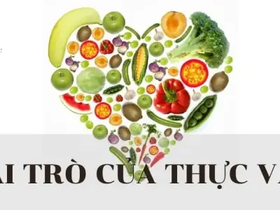 Vai trò của thực vật trong đời sống con người và trong tự nhiên