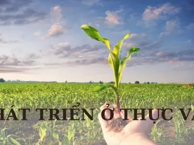 Phát triển ở thực vật - Khái niệm, yếu tố ảnh hưởng phát triển ở thực vật