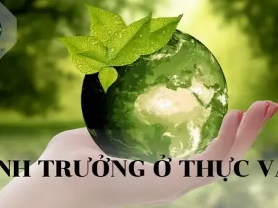 Sinh trưởng ở thực vật: Khái niệm, yếu tố ảnh hưởng và biện pháp 