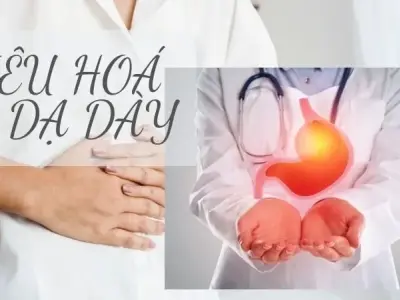 Khái niệm,Cấu trúc, chức năng và quá trình tiêu hoá ở dạ dày