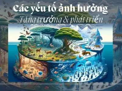Các yếu tố ảnh hưởng đến quá trình sinh trưởng và phát triển ở động vật
