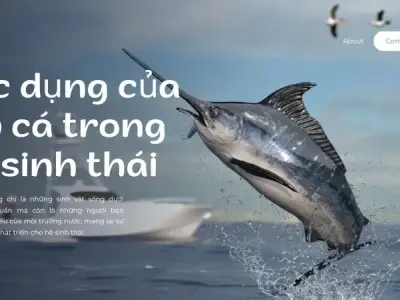 Khám phá sự đa dạng sinh học của lớp cá - Một thế giới dưới nước