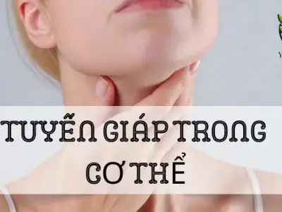 Tuyến giáp: Khái niệm, cấu tạo và chức năng đối với cơ thể người