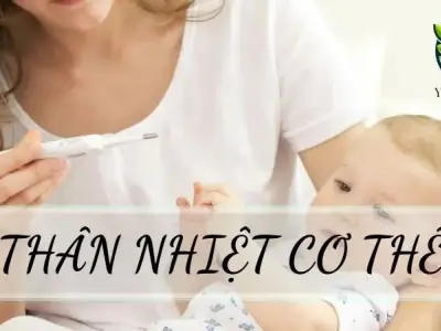 Thân nhiệt trong cơ thể và các yếu tố ảnh hưởng đến sức khoẻ