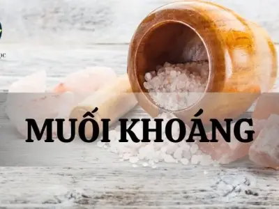 Muối khoáng là gì? Vai trò của muối khoáng trong cơ thể người