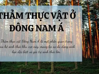 Thảm thực vật chủ yếu ở Đông Nam Á