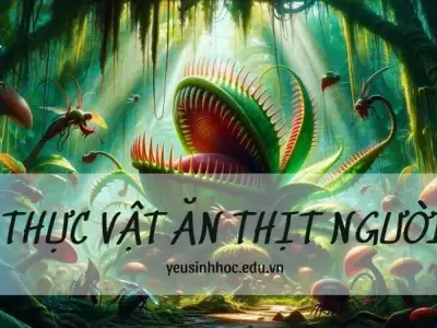 Thực vật ăn thịt người - Những bí ẩn về thực vật này trong sinh học