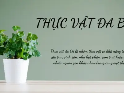 Thực vật đa bội - đặc điểm và lợi ích trong hệ sinh thái