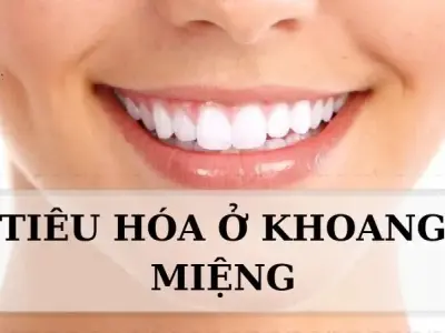 Tiêu hoá ở khoang miệng diễn ra như thế nào?