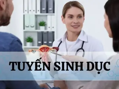 Tuyến sinh dục - Khái niệm, cấu tạo và chức năng trong cơ thể