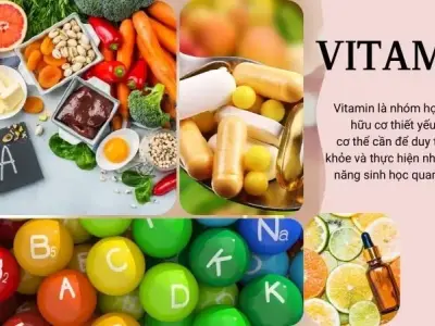 Tìm hiều về Vitamin trong cơ thể người