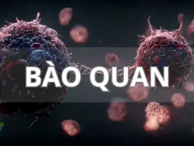 Bào quan trong tế bào - Vai trò và cấu trúc độc đáo của chúng