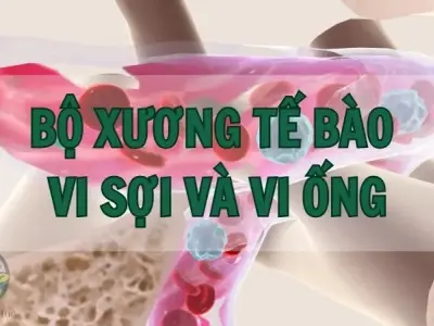 Khám phá bí ẩn bộ xương tế bào - Nền tảng cho sự sống