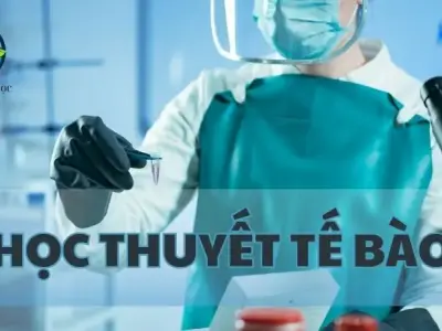 Học thuyết tế bào là gì? Chìa khóa cho sự hiểu biết về sinh học