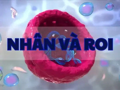 Nhân và roi - Khái niệm, cấu trúc và chức năng trong tế bào