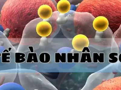 Tế bào nhân sơ - Kỳ quan ẩn chứa trong thế giới vi mô