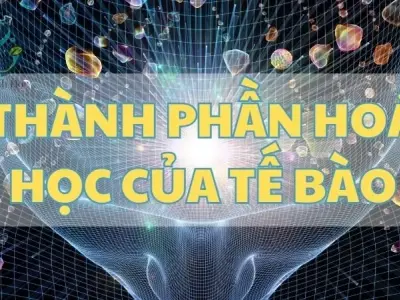 Tìm hiểu về thành phần hóa học của tế bào