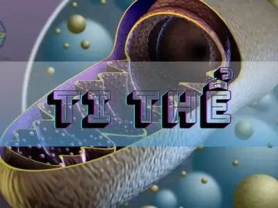 Ti thể và vai trò quan trọng trong hô hấp tế bào