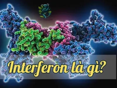 Interferon là gì? Giải mã bí ẩn và ứng dụng trong y học