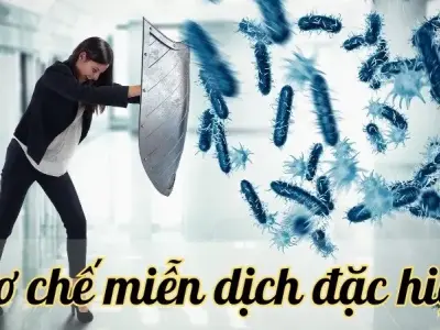 Cơ chế miễn dịch đặc hiệu và vai trò quan trọng trong phòng chống bệnh tật