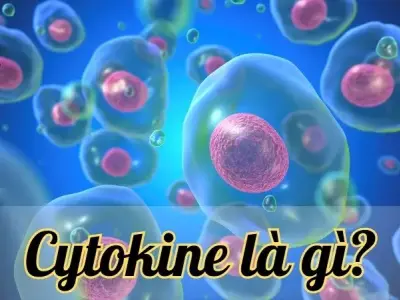 Hiểu rõ về cytokine và những ứng dụng trong điều trị y học