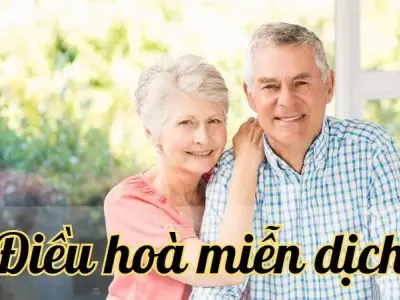 Điều hoà miễn dịch - Bí quyết cho một cơ thể khỏe mạnh