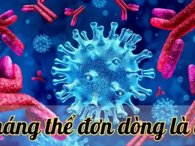 Kháng thể đơn dòng là gì? Hiệu quả ra sao trong điều trị bệnh?