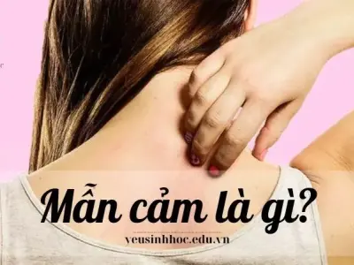 Mẫn cảm là gì? Tìm hiểu về khái niệm và vai trò của mẫn cảm