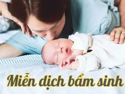 Miễn dịch bẩm sinh - Lá chắn đầu tiên bảo vệ cơ thể khỏi bệnh tật