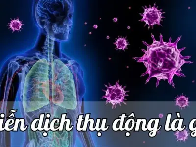 Miễn dịch thụ động - Khái niệm, cơ chế và các ứng dụng trong công nghệ y học