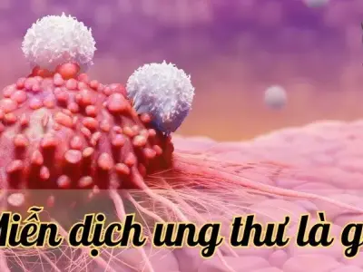 Miễn dịch ung thư là gì? Khái niệm và vai trò trong hệ miễn dịch