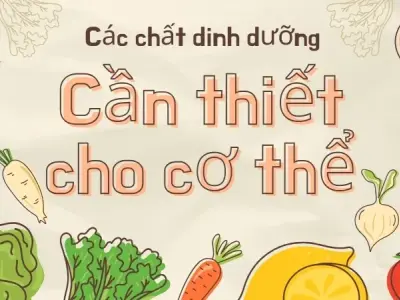 Lợi ích của các chất dinh dưỡng cần thiết cho cơ thể mà bạn cần biết