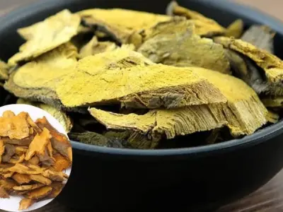 Hướng dẫn sử dụng cốt khí củ điều trị viêm khớp