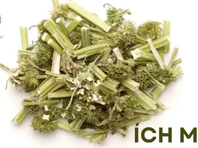 Ích Mẫu - Bí quyết tự nhiên giúp giảm đau bụng kinh hiệu quả