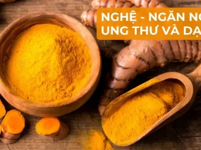 Sử dụng nghệ thế nào để ngăn ngừa ung thư và dạ dày