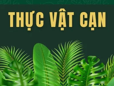 Thực vật cạn là gì? Vai trò của thực vật cạn trong hệ sinh thái