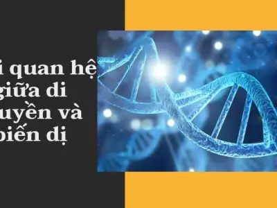 Sự thật tranh cãi về mối quan hệ giữa di truyền và biến dị