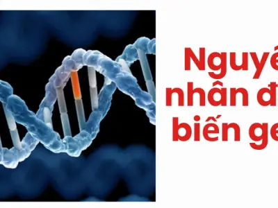 Nguyên nhân đột biến gen- Hiểm họa tiềm ẩn cần tránh