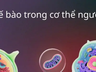 Tế bào trong cơ thể người thay đổi ra sao theo tuổi