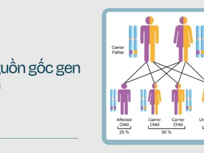 Cách hiểu đúng bệnh di truyền lặn để bảo vệ tương lai con trẻ