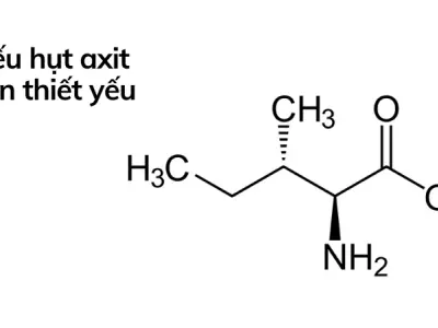 Trải nghiệm các loại axit amin giúp cơ thể hồi phục thần tốc