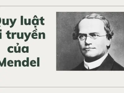 Các quy luật di truyền của Mendel cho người mới học