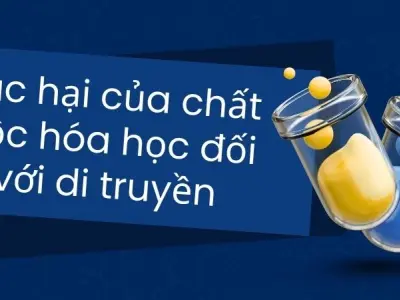 Tác hại của chất độc hóa học đối với di truyền đáng báo động