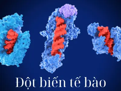 Đột biến tế bào và khát vọng đổi thay tương lai nhân loại