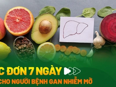 73 Món Ăn Tốt Cho Người Bị Gan Nhiễm Mỡ: Cẩm Nang Dinh Dưỡng Toàn Diện