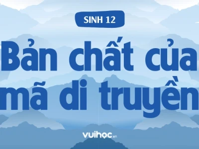 Bản chất của mã di truyền là gì Những bí ẩn đằng sau ngôn ngữ sự sống