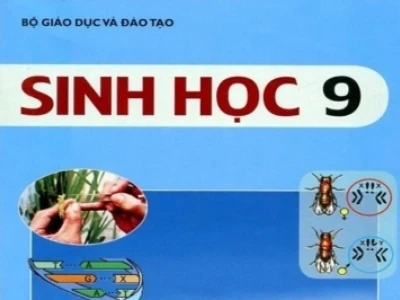 Bản chất hóa học và chức năng của gen